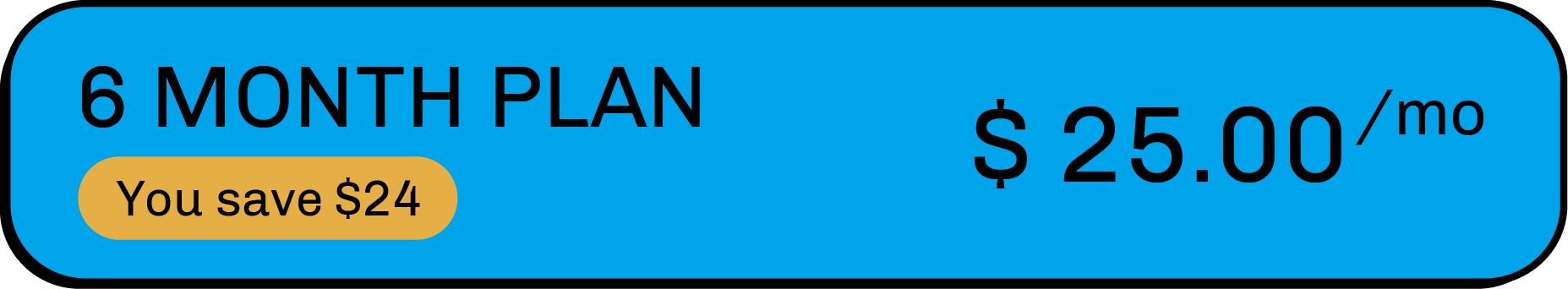  6 Month Plan $25.99 per month - Save $24