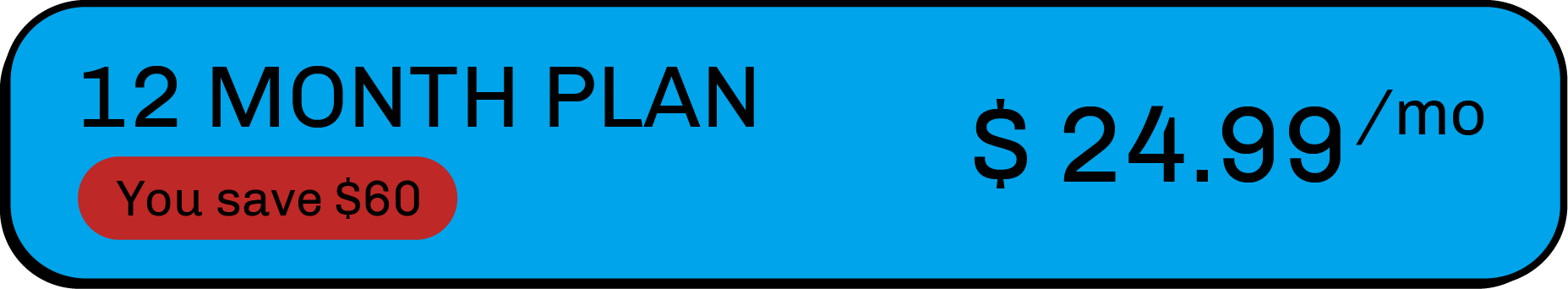  12 Month Plan $24.99 per month - Save $60